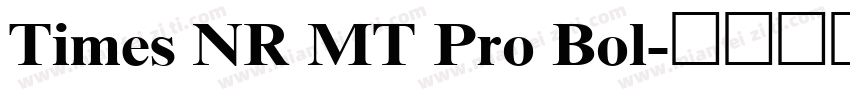 Times NR MT Pro Bol字体转换